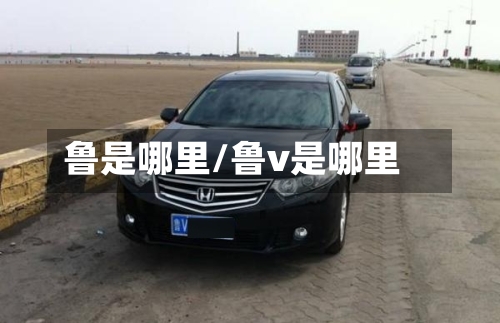 鲁是哪里/鲁v是哪里