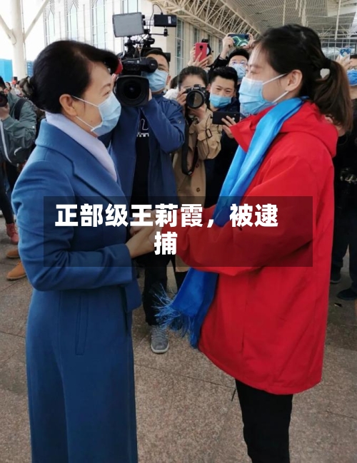 正部级王莉霞，被逮捕-第2张图片