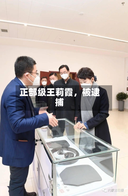 正部级王莉霞	，被逮捕-第3张图片