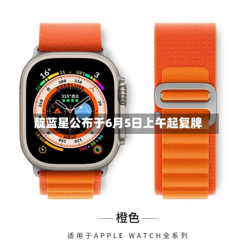 靛蓝星公布于6月5日上午起复牌