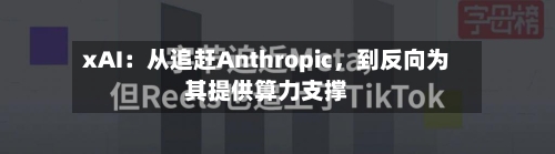 xAI：从追赶Anthropic，到反向为其提供算力支撑-第2张图片