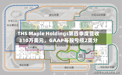 THS Maple Holdings第四季度营收310万美元，GAAP每股亏损2美分-第3张图片
