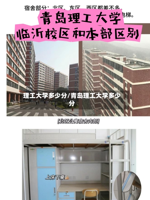 理工大学多少分/青岛理工大学多少分-第3张图片