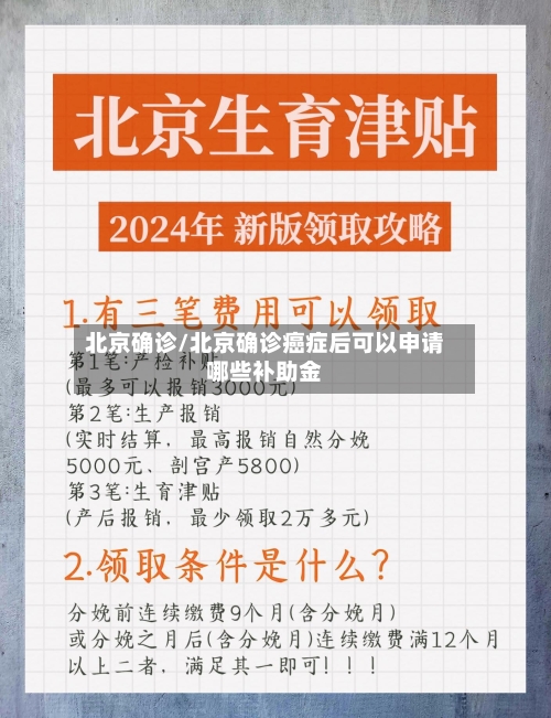 北京确诊/北京确诊癌症后可以申请哪些补助金-第3张图片