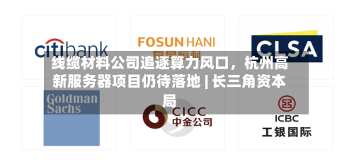 线缆材料公司追逐算力风口，杭州高新服务器项目仍待落地 | 长三角资本局-第2张图片