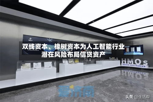 双线资本、橡树资本为人工智能行业潜在风险布局信贷资产-第2张图片