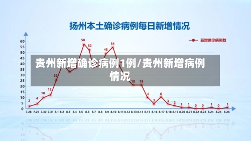 贵州新增确诊病例1例/贵州新增病例情况-第2张图片