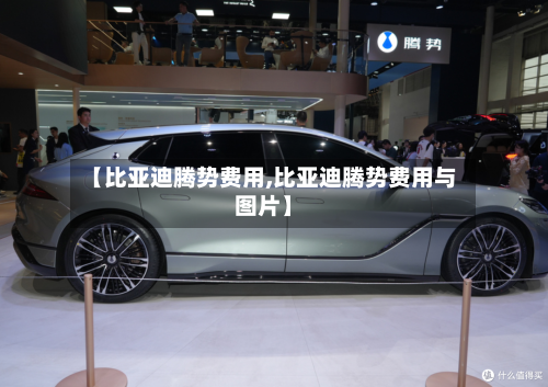 【比亚迪腾势费用,比亚迪腾势费用与图片】-第2张图片
