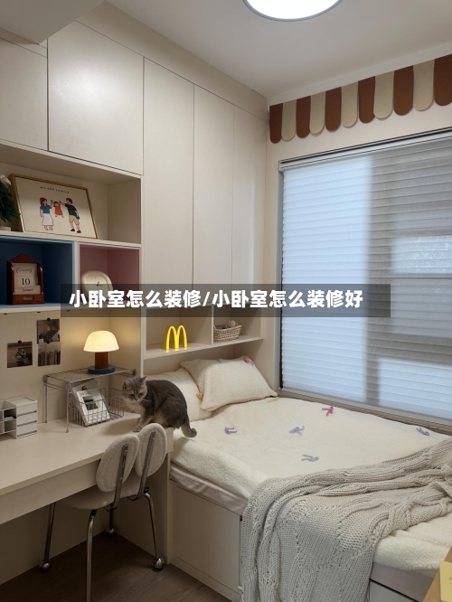 小卧室怎么装修/小卧室怎么装修好-第3张图片