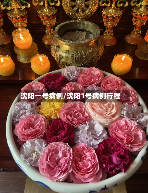 沈阳一号病例/沈阳1号病例行程