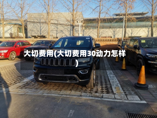 大切费用(大切费用30动力怎样)