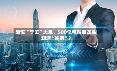 斩获“宁王	”大单，500亿电解液龙头却遭“冷遇”？-第2张图片