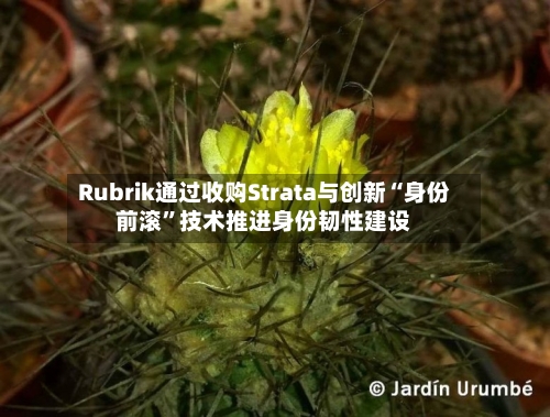 Rubrik通过收购Strata与创新“身份前滚”技术推进身份韧性建设-第2张图片