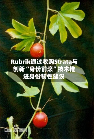 Rubrik通过收购Strata与创新“身份前滚”技术推进身份韧性建设-第3张图片