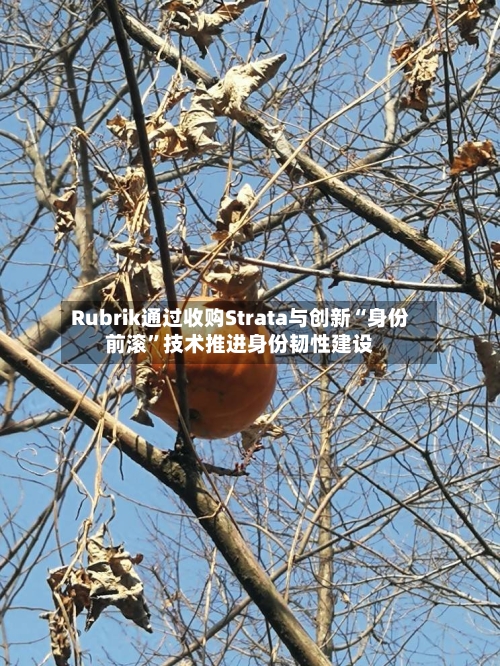 Rubrik通过收购Strata与创新“身份前滚”技术推进身份韧性建设
