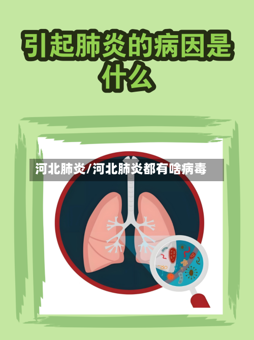河北肺炎/河北肺炎都有啥病毒-第2张图片