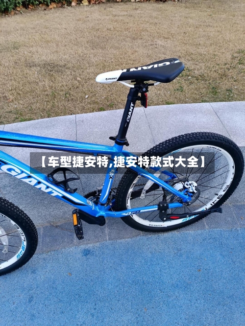 【车型捷安特,捷安特款式大全】-第3张图片