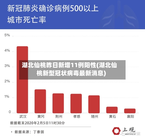 湖北仙桃昨日新增11例阳性(湖北仙桃新型冠状病毒最新消息)-第2张图片