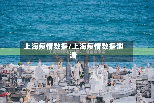 上海疫情数据/上海疫情数据泄漏