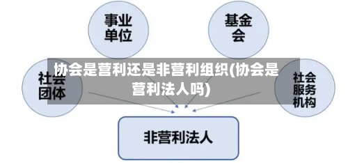 协会是营利还是非营利组织(协会是营利法人吗)