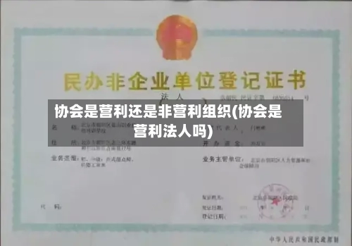 协会是营利还是非营利组织(协会是营利法人吗)-第2张图片