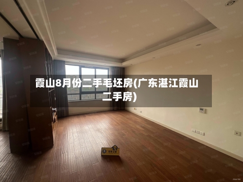 霞山8月份二手毛坯房(广东湛江霞山二手房)