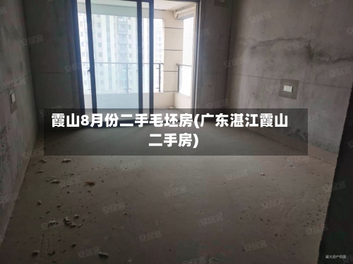 霞山8月份二手毛坯房(广东湛江霞山二手房)-第3张图片