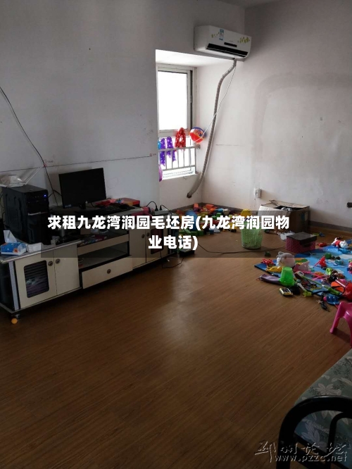 求租九龙湾润园毛坯房(九龙湾润园物业电话)-第2张图片