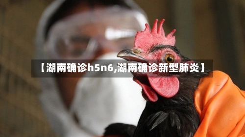 【湖南确诊h5n6,湖南确诊新型肺炎】-第3张图片
