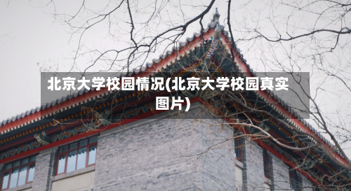 北京大学校园情况(北京大学校园真实图片)