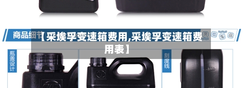 【采埃孚变速箱费用,采埃孚变速箱费用表】