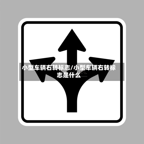 小型车辆右转标志/小型车辆右转标志是什么