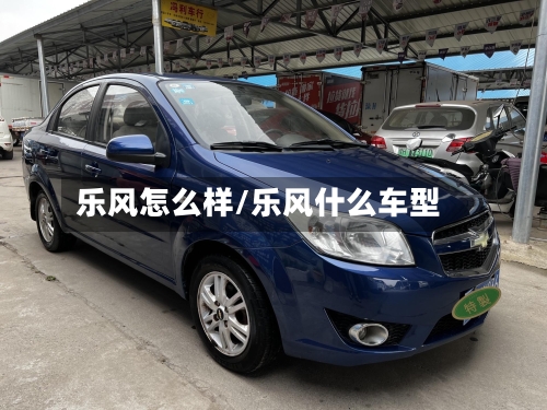 乐风怎么样/乐风什么车型